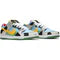 NIKE DUNK SB LOW “BEN AND JERRY”